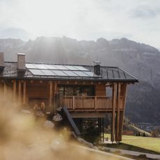 Scorcio dello Chalet Sasslong immerso nel verde delle Dolomiti